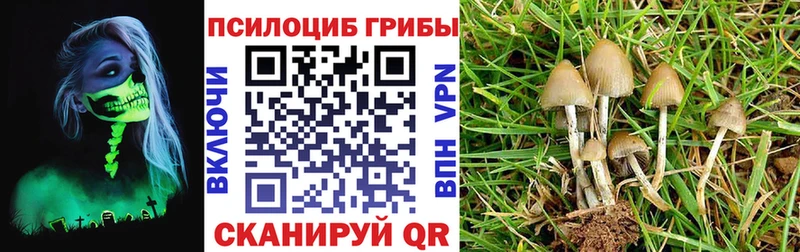 продажа наркотиков  Суоярви  Псилоцибиновые грибы мухоморы 